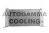 AUTOGAMMA 103053 Radiator, engine cooling